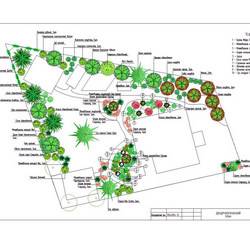 Проектирование и разработка ландшафтного проекта участка